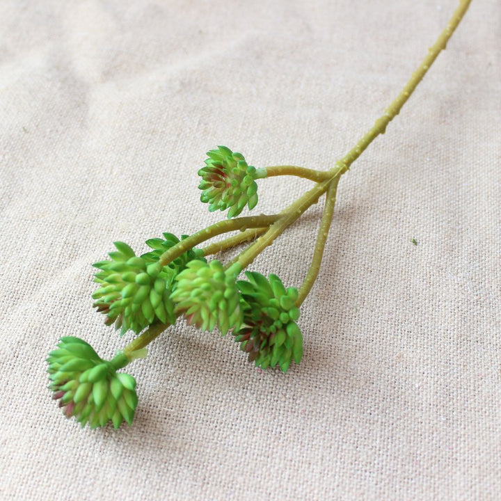 Lifelike Succulent Stem