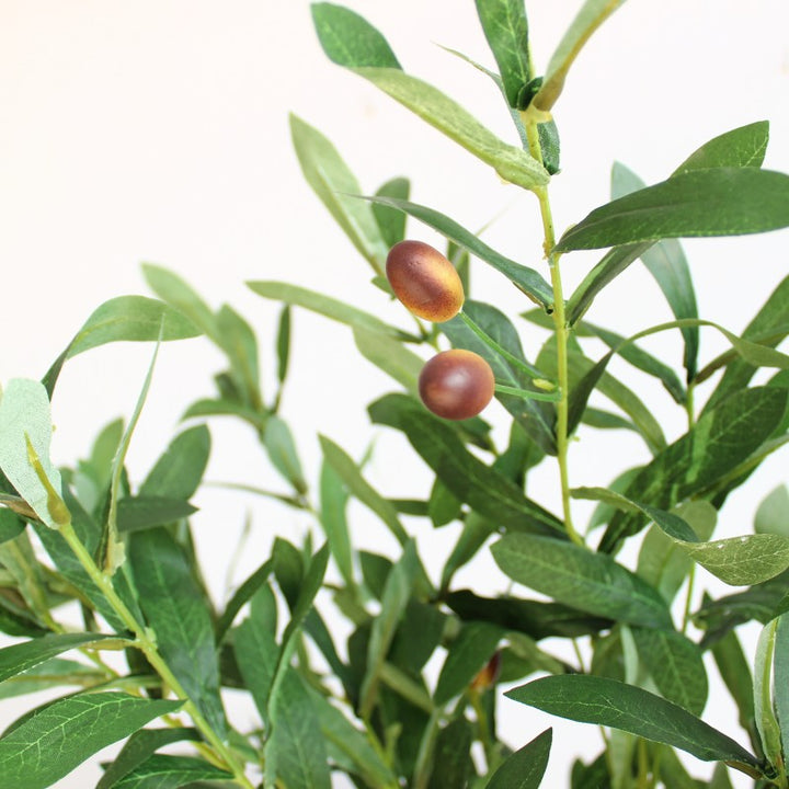 Decorative Olive Branch Arrangement