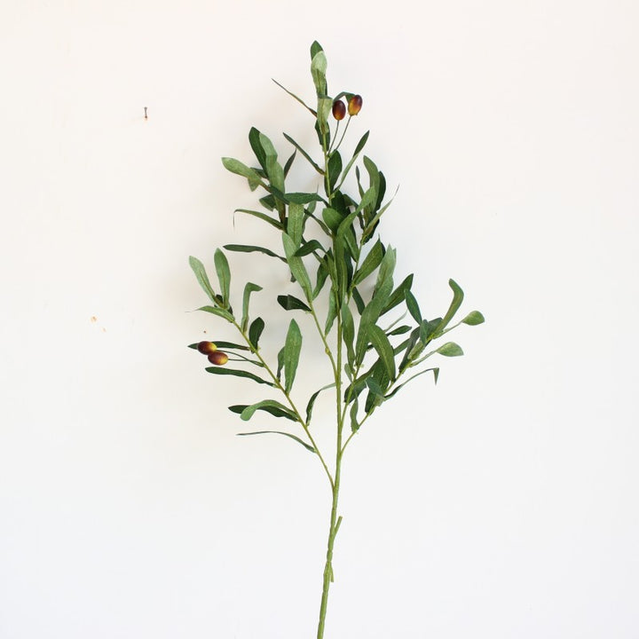Decorative Olive Branch Arrangement