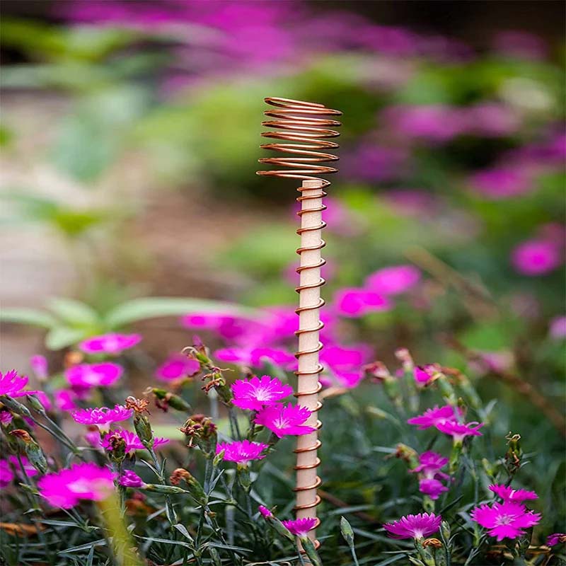 Copper plant stakes 30 cm | Stornfield