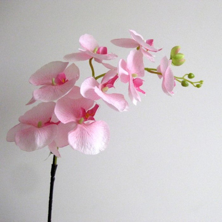 Realistic Decorative Orchid Stem