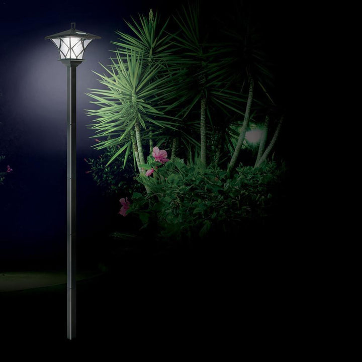 Solar Decorative Garden Stake Lights