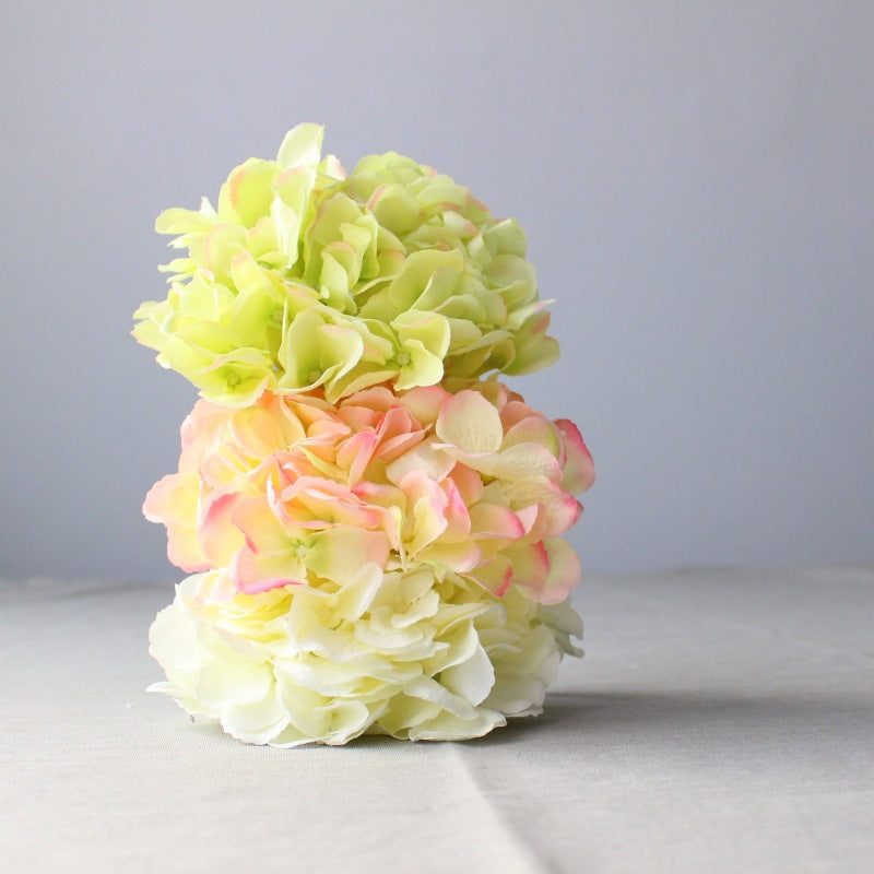 Lush Decorative Hydrangea Blossom