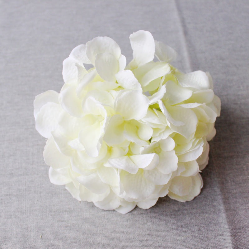 Lush Decorative Hydrangea Blossom