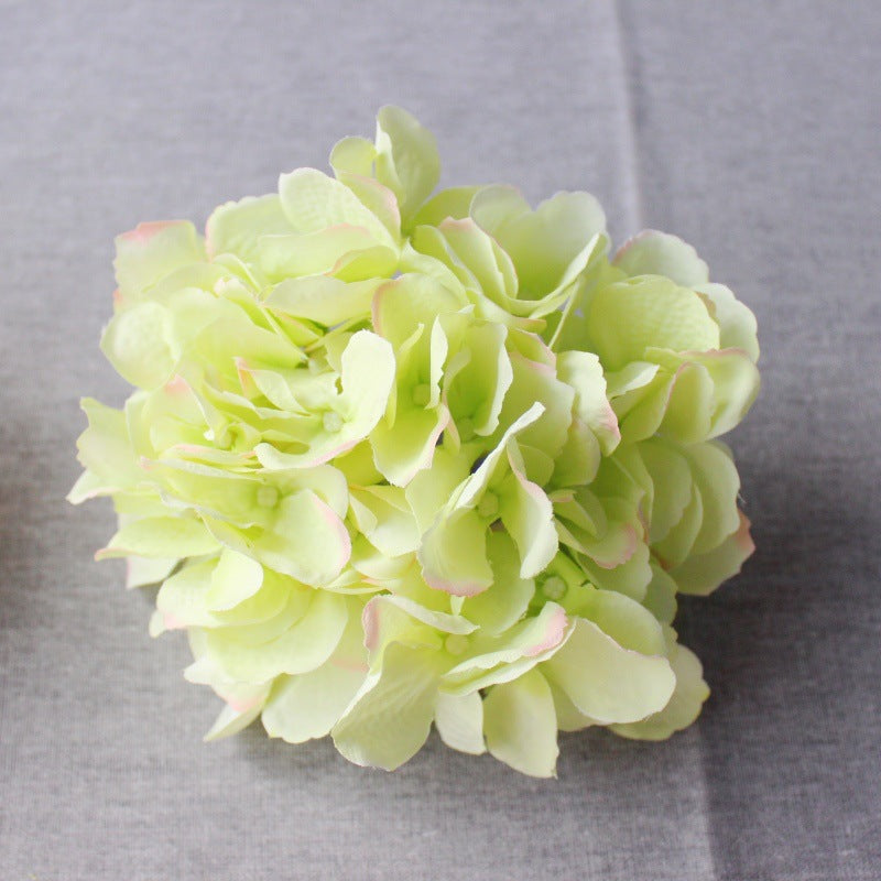 Lush Decorative Hydrangea Blossom