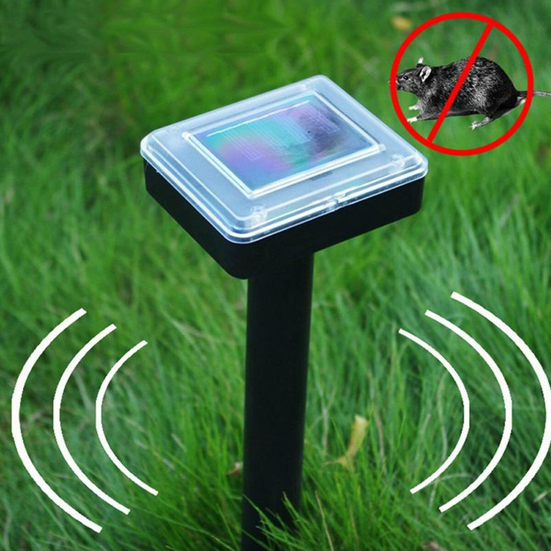 Solar Pathway Lantern Lights