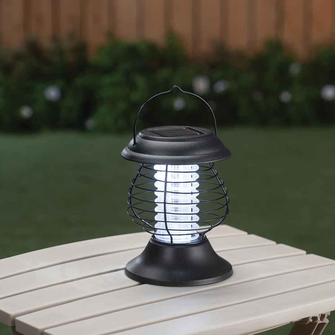 Decorative Solar LED Garden Stake Lights