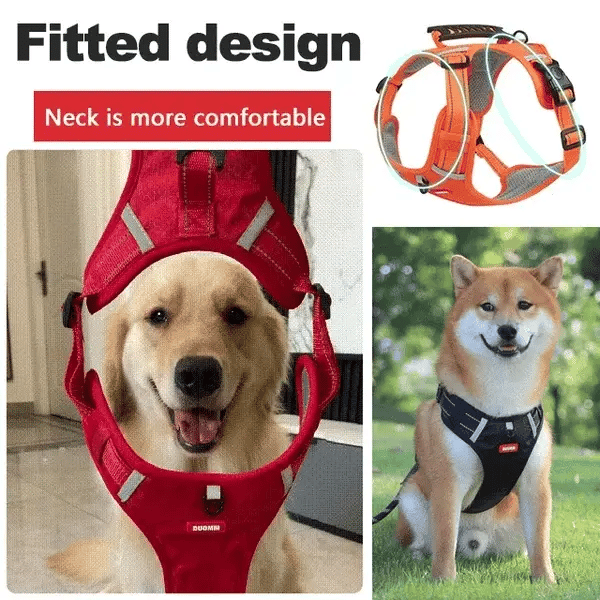 DogGrip Walk Safely with Your Dog | Stornfield