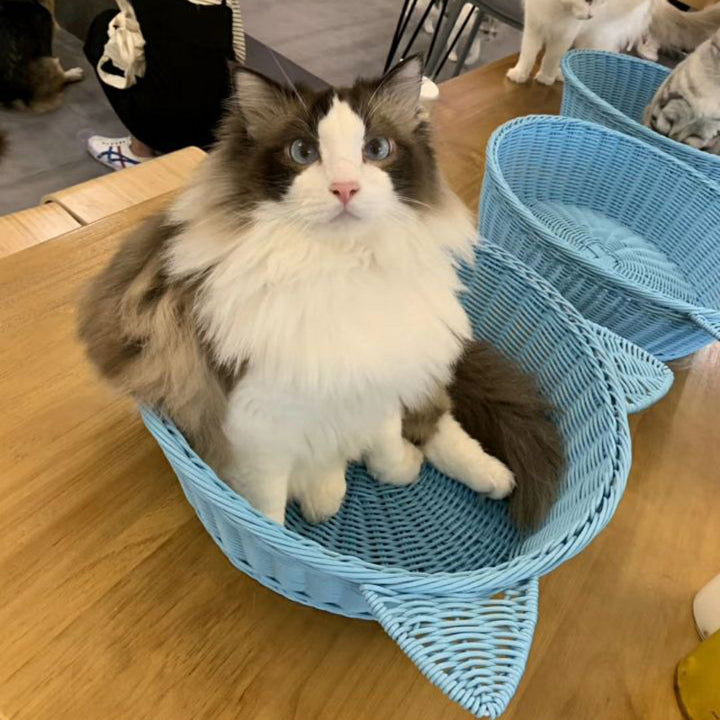 Cat Ear Woven Storage Basket Stornfield
