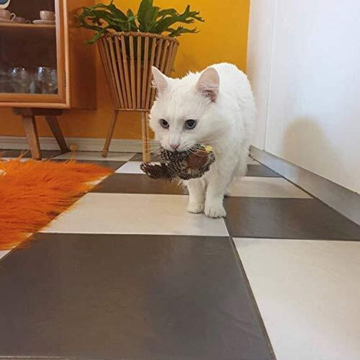 Cat Toy - Stornfield Simulated Chirping Bird