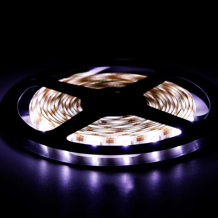 LED motion detector waterproof light belt | Stornfield