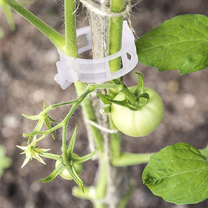 Practical Plant Support Clip | Stornfield