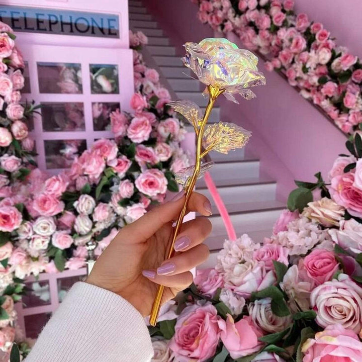 10 Stornfield Galaxy Roses