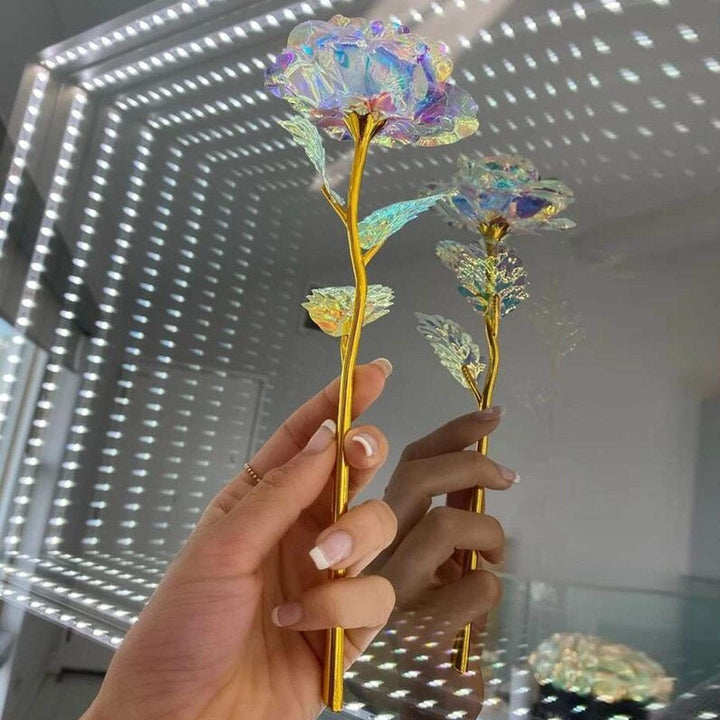 10 Stornfield Galaxy Roses