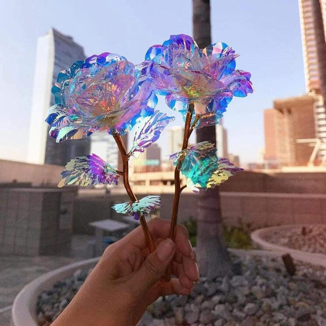 10 Stornfield Galaxy Roses