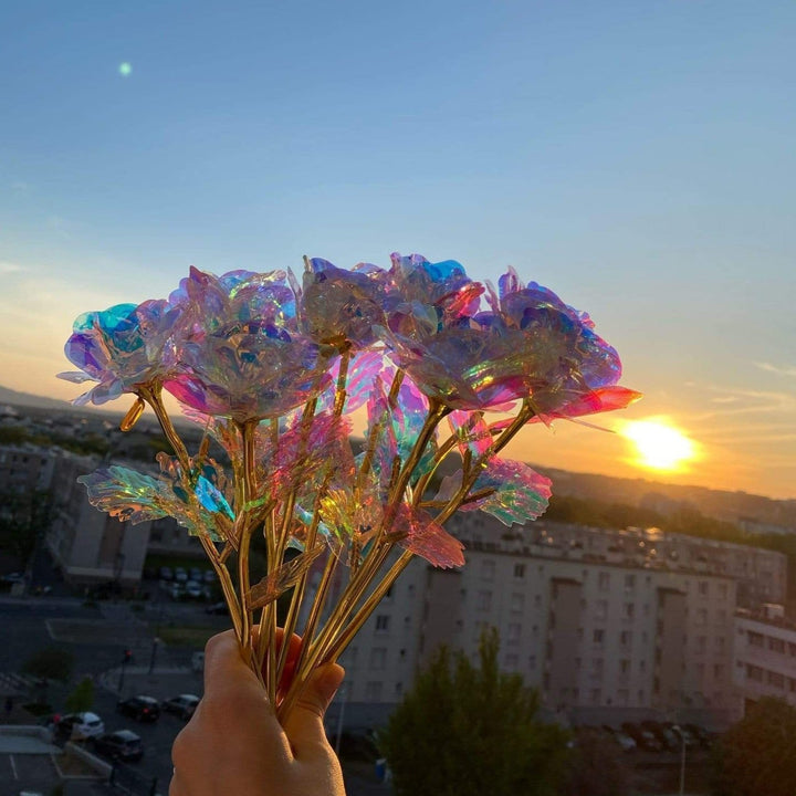 10 Stornfield Galaxy Roses