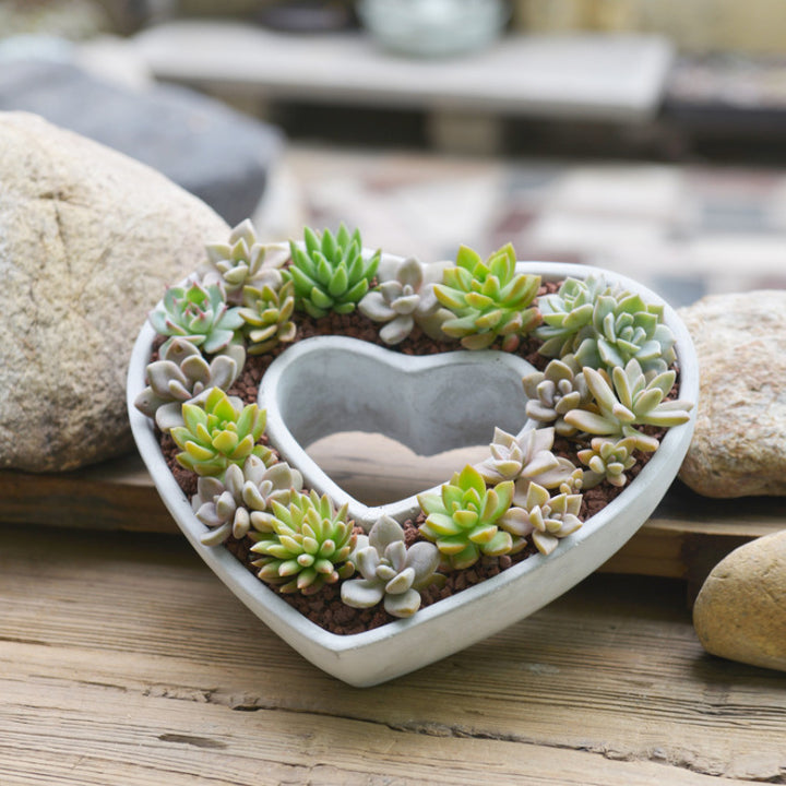 Decorative plant pot Stornfield