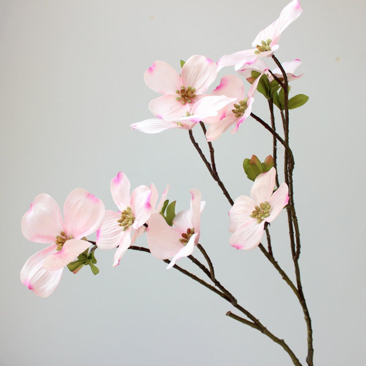 Decorative Dogwood Stem