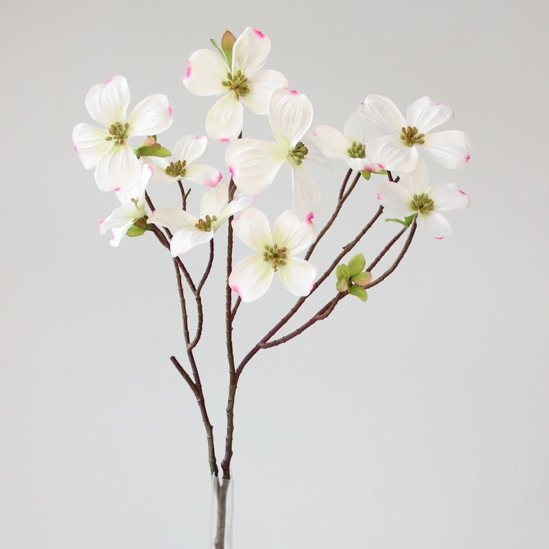 Decorative Dogwood Stem