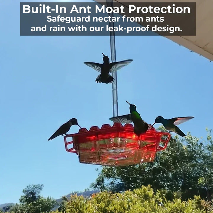 Stornfield | Ant-Proof Hummingbird Feeder with 30 Bee-Resistant Ports