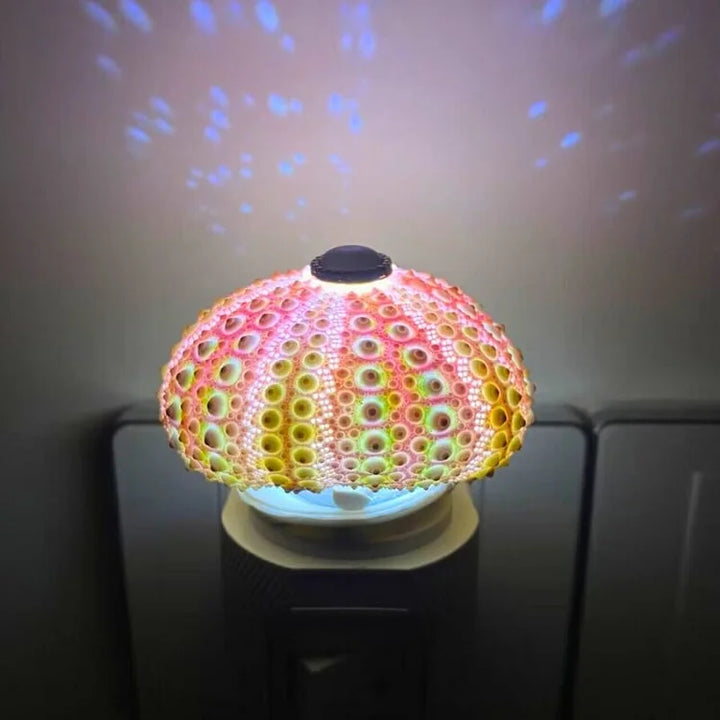 Stornfield | LumiCraft – Unique DIY Table Lamp with Natural Seashell for a Cozy Decoration