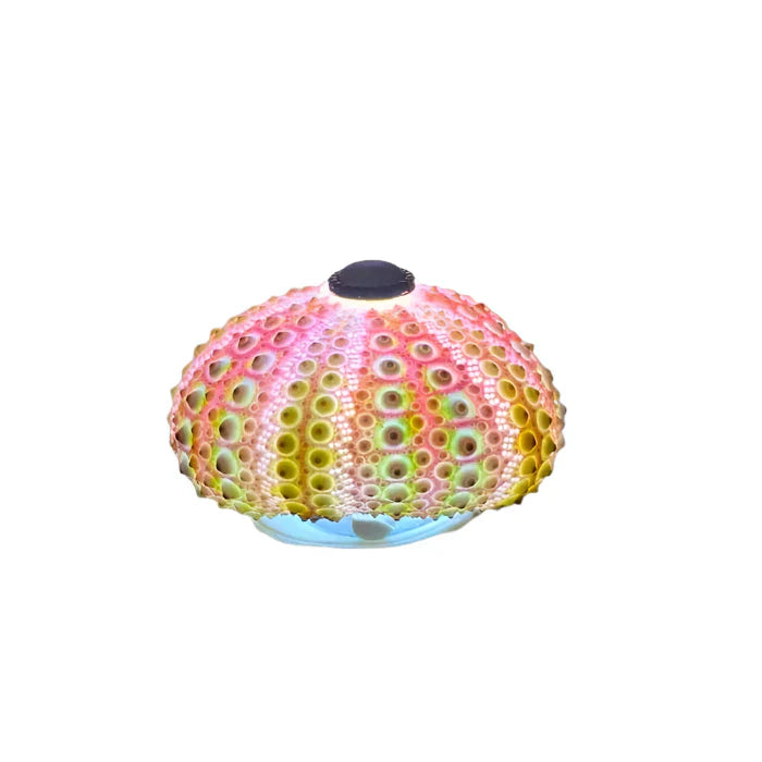 CoastalGlow DIY Hedgehog Night Light Stornfield