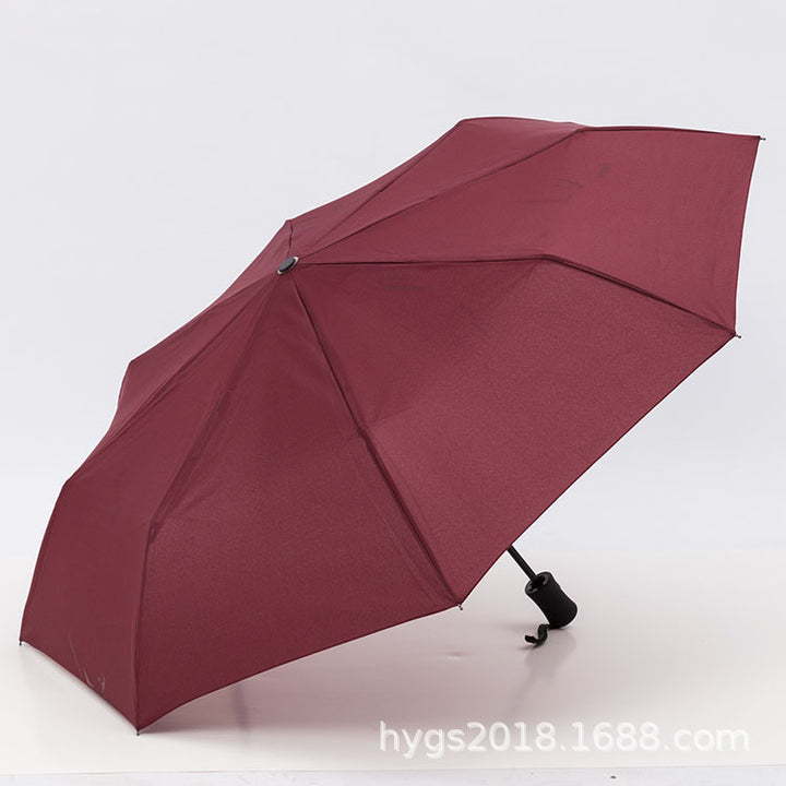 Women Automatic Umbrella Stornfield