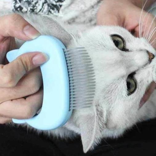 2-in-1 Mini Pet Comb | Stornfield