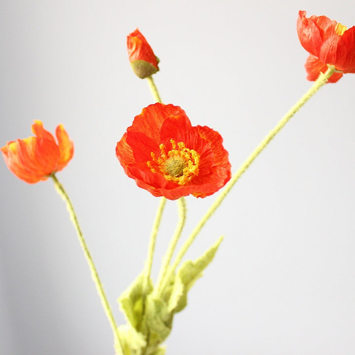 Lifelike Poppy Flower Stem