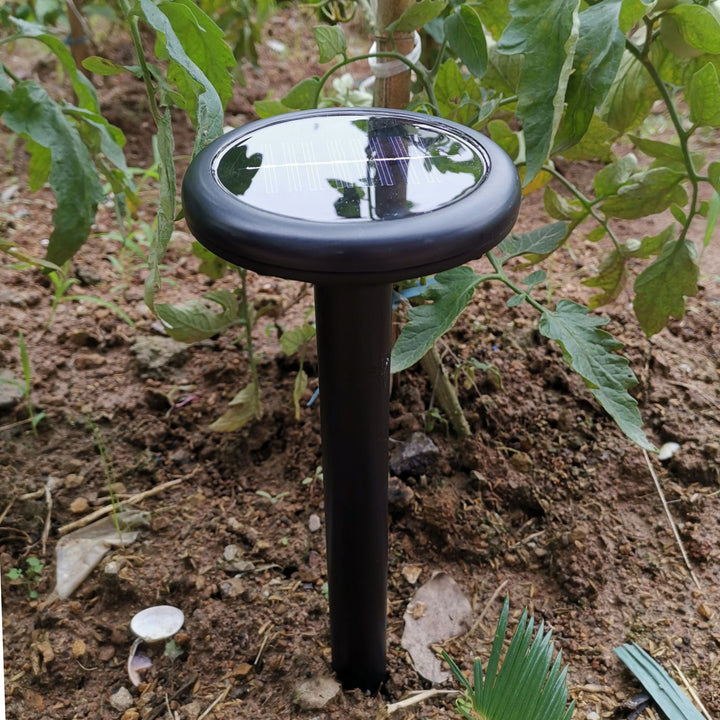 Solar Garden Decorative Hanging Lantern