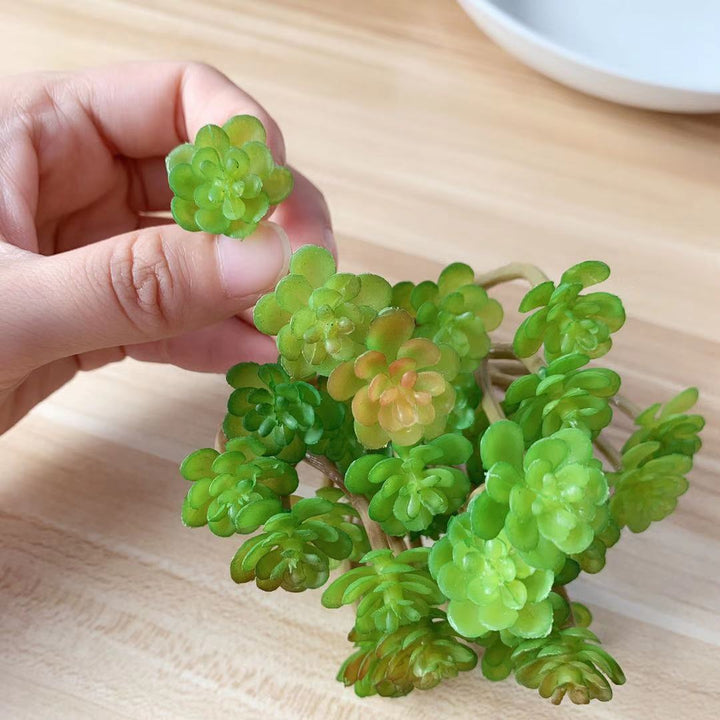 Lifelike Succulent Plant