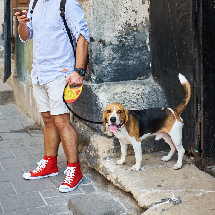 Retractable LED pet leash | Stornfield
