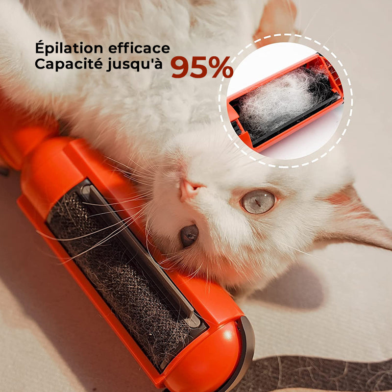 Adhesive Brush for Pets | Stornfield