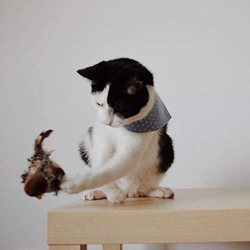 Cat Toy - Stornfield Simulated Chirping Bird