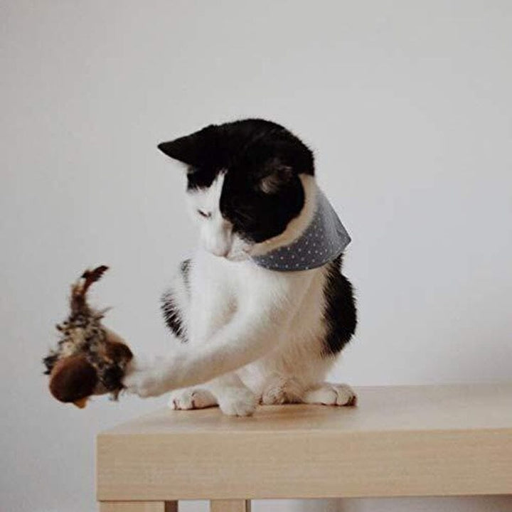 Cat Toy - Stornfield Simulated Chirping Bird
