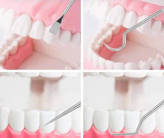 Your Oral Hygiene Care Kit Stainless Steel Eco-Friendly and Sustainable | Stornfield