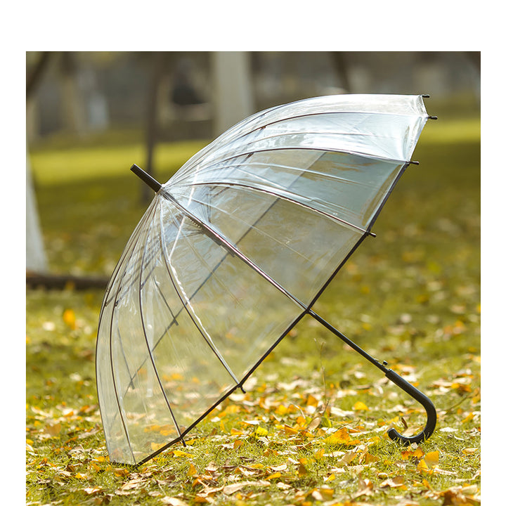 Ladies Transparent Umbrella with Non-Slip Handle and Wind Resistance Stornfield