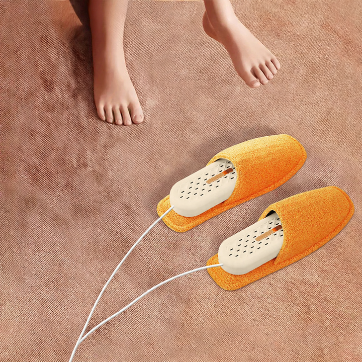 Electric shoe dryer for quick drying