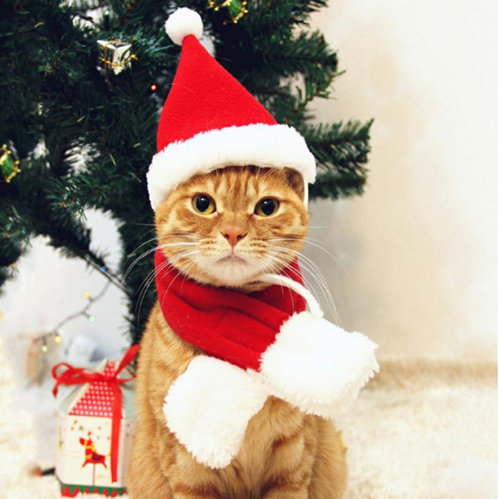Christmas Decoration Santa Hat with Scarf | Stornfield