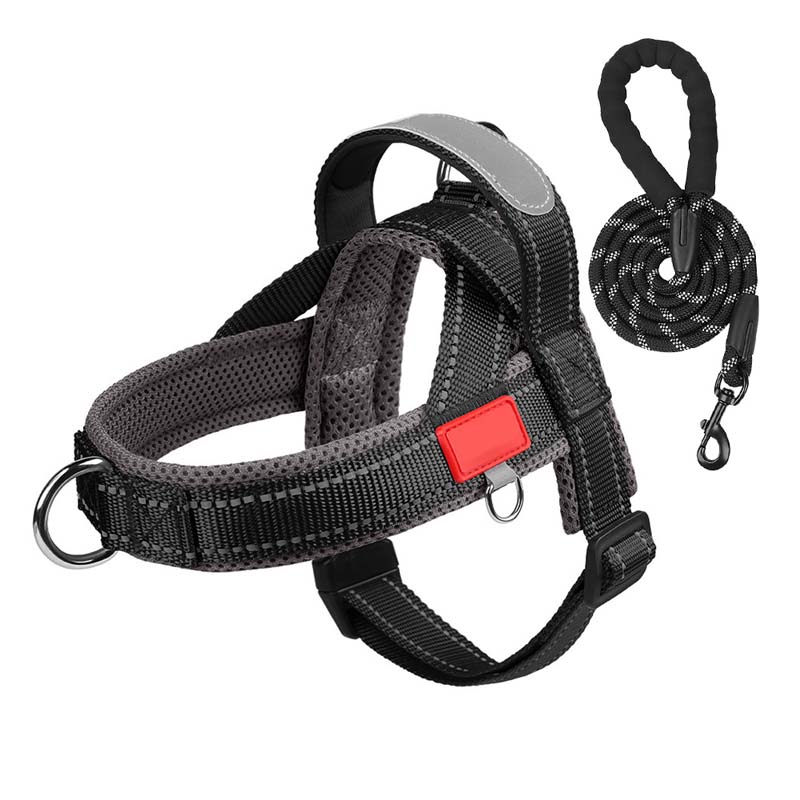 PawEase Comfort Harness — Relaxed Dressing and Unlimited Freedom for Your Dog | Stornfield