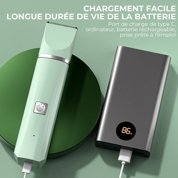 Pet Clipper | Stornfield