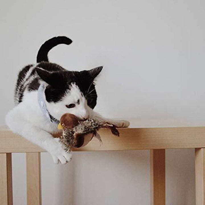 Cat Toy - Stornfield Simulated Chirping Bird