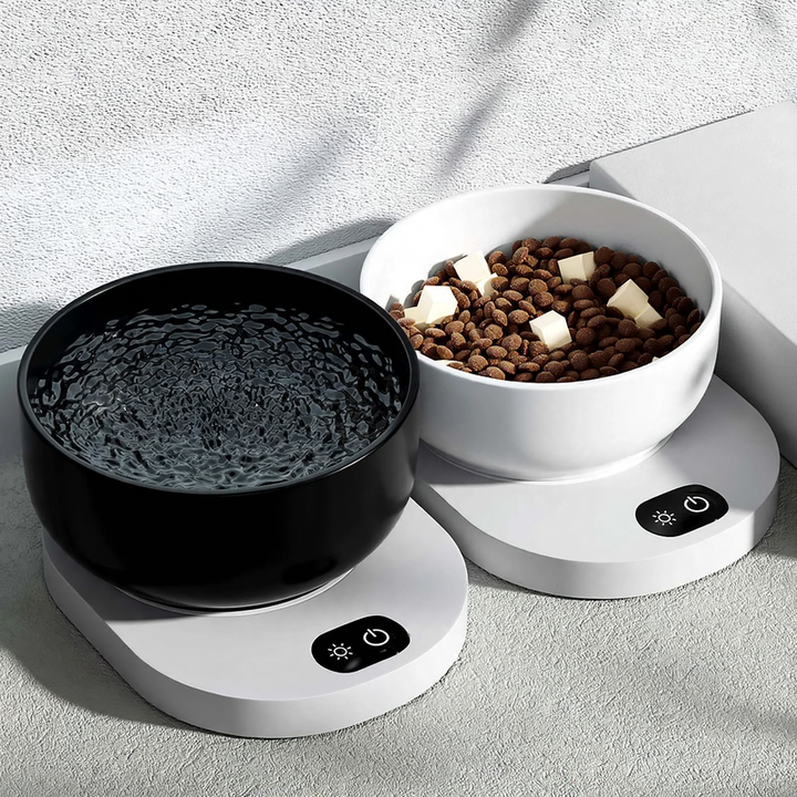 Ceramic heating bowl for cats and dogs