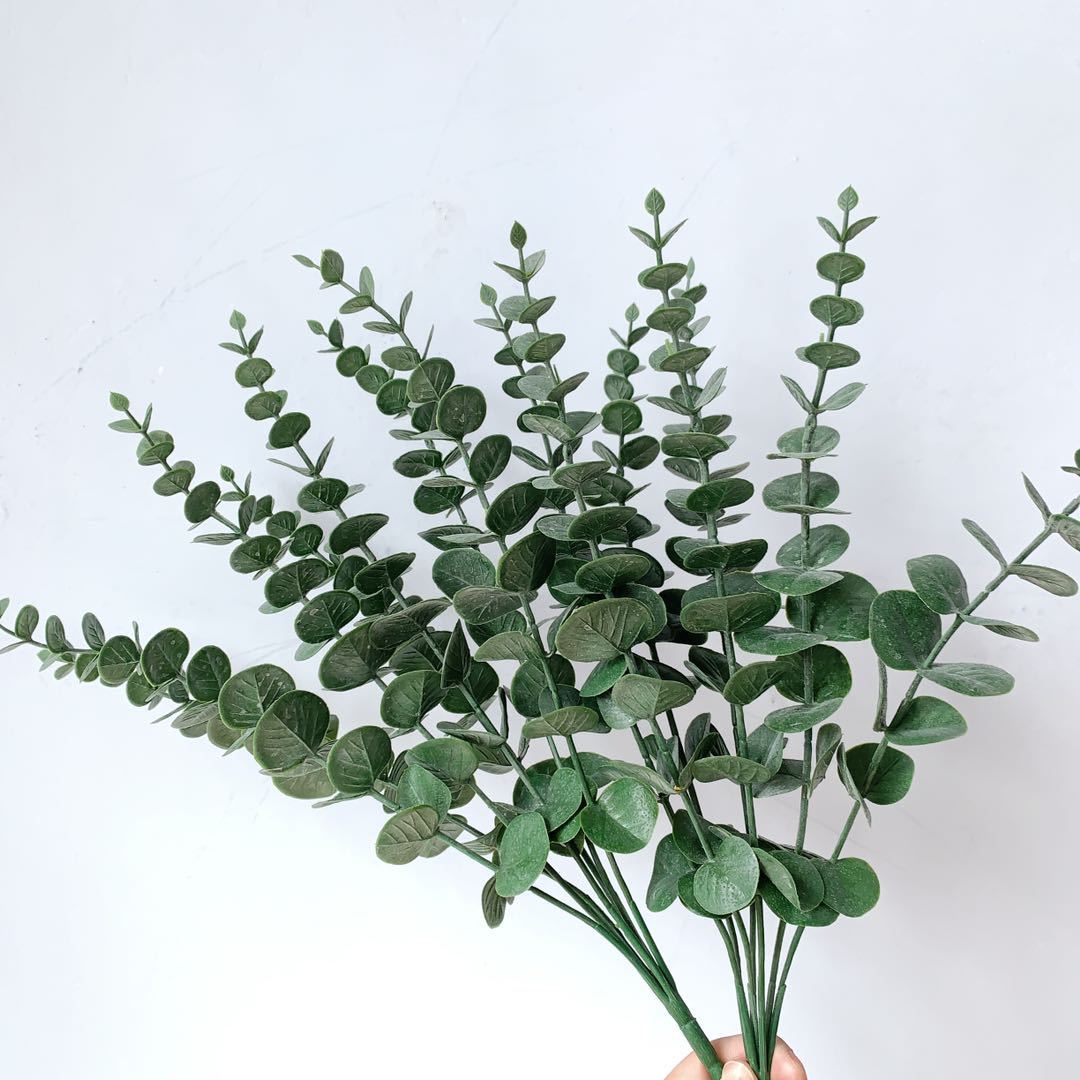 Premium Decorative Eucalyptus Stem