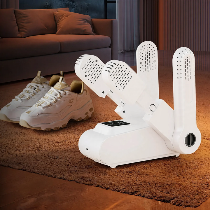 Electric shoe dryer with timer and disinfection function