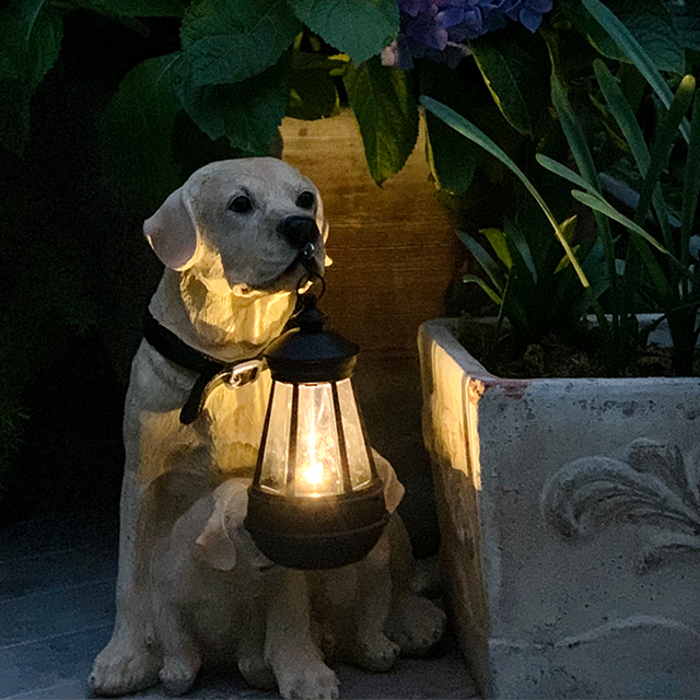 Playful Paws Solar Lamp Stornfield