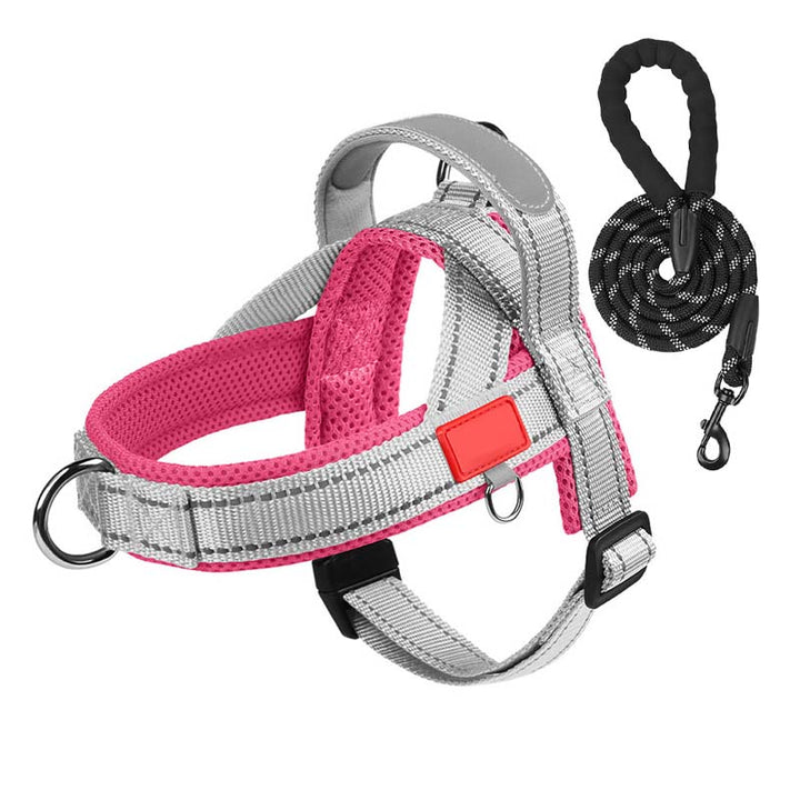 PawEase Comfort Harness — Relaxed Dressing and Unlimited Freedom for Your Dog | Stornfield