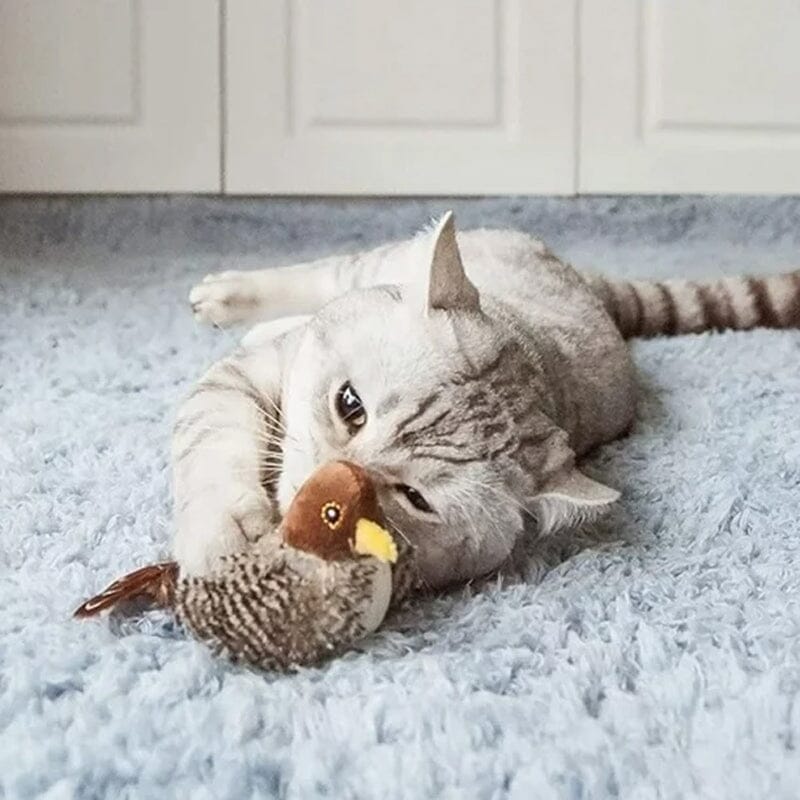 Cat Toy - Stornfield Simulated Chirping Bird