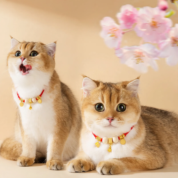 Adjustable collar for small dogs and cats