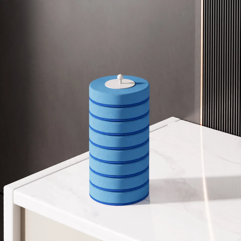 Toilet brush with interchangeable brush heads
